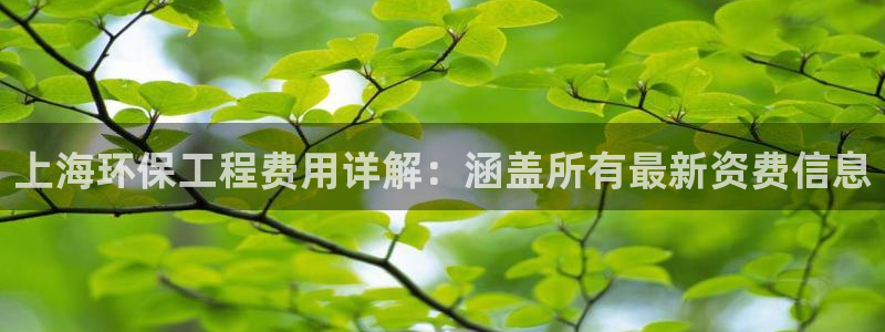 彩名堂手机版官网：上海环保工程费用详解：涵盖所有最新资费信息